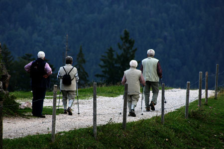 Image depicting Spring Mood Walk 2026